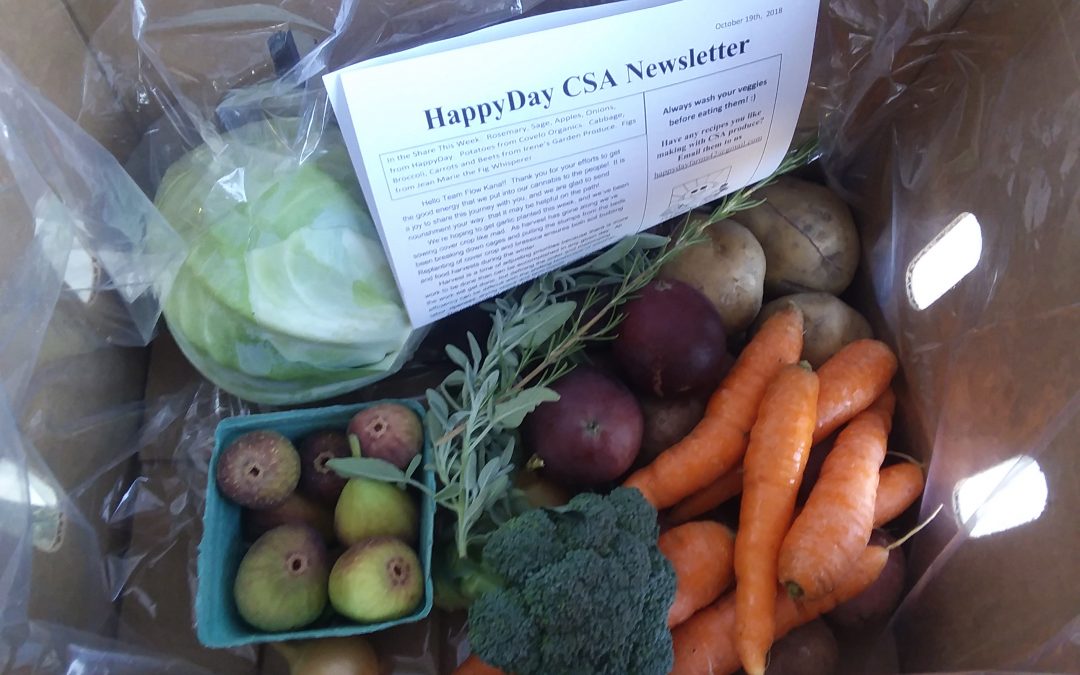 HappyDay CSA Newsletter Week 17 Sept 24th